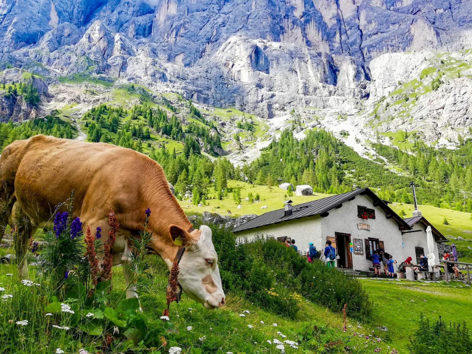 Appartamento Antico Borgo Palue Sottoguda Esterno foto